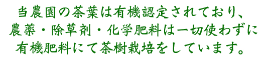 無農薬 有機栽培 お茶