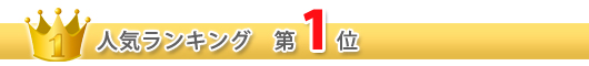 人気ランキング 一位