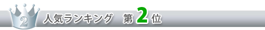 人気ランキング 一位