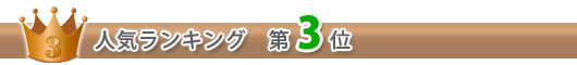 人気ランキング 一位