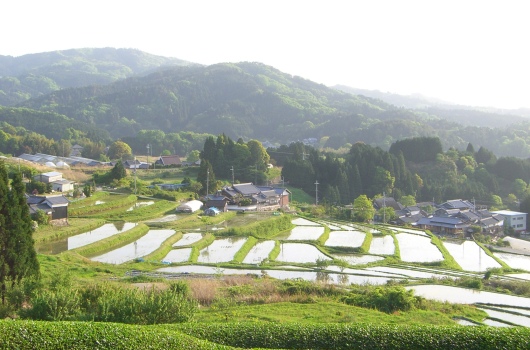 大和茶の和カフェ 遊茶庵